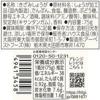 【アウトレット】ハウス食品 本きざみ粗切り生しょうが 75g ＜瓶タイプ＞ 1セット（1個×2）