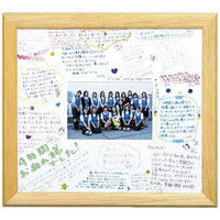 木製額縁 色紙額 ナチュラル FW-SG-01NT ハクバ写真産業（直送品）