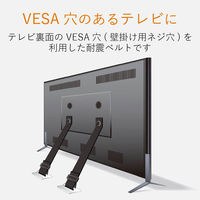 エレコム（ELECOM） TV用耐震ベルト/～75V用/ネジどめタイプ（VESA穴）/2本入 TS-006N 1個（2本入）（直送品）