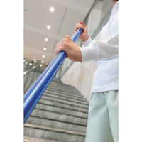 山崎産業 PT パワーハンドルS BL 4903180134328 1セット(1本×2)