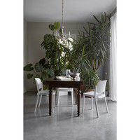 cerantola（チェラントラ） COLOS（コロス） ピアッツァ1チェア 2脚セット ホワイト piazza1/white（取寄品）