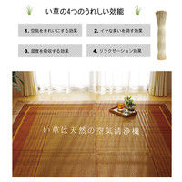 イケヒコ 純国産 い草ラグカーペット 『ランクス総色』 ベージュ 約191×191cm 1枚（直送品）