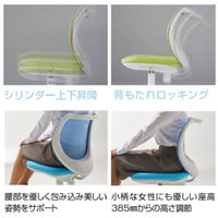 アイリスチトセ フローラルチェア ファブリックメッシュタイプ グレー/ブラック FLO-43F-GR 1脚（直送品）