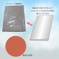 ヘイコー IP薄葉紙 シナモン 002111639 1セット（50枚入×20束）（直送品）