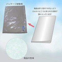 シモジマ IP薄葉紙 クールミント 002111656 1セット（50枚入×20束）（直送品）