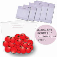 【ケース販売】シモジマ HEIKO ポリ袋 スタンドパック #40 16-25 006656081 1ケース(100枚入×50袋)（直送品）