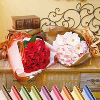 ヘイコー ファンタジーラップ NO.4 ライム 006777953 1セット（1本×5本）（直送品）