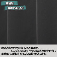 ユニベール ベルーイブラック W100xH178 4548654712703 1組(2枚)