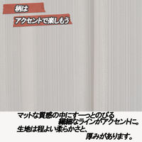 ユニベール ライリーストライプ W100xH176 4548654713106 1セット(レースカーテン2枚
