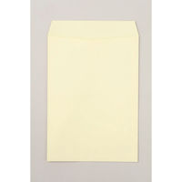 キングコーポレーション 角2 カラー封筒 ソフト K2S100C 1パック(100枚入)