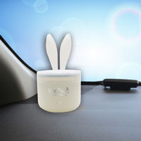 ダイヤケミカル ラビッコホワイト ホワイトムスク 2401 1個