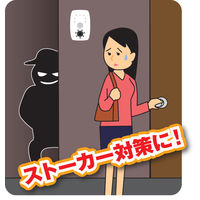 リーベックス 防犯カメラ SD1000 microSD録画式 センサーカメラ センサーライト付 夜間撮影