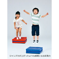トーエイライト ジャンプ&スプリングマット3青 T1877B 1台