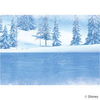 WDマグネットでぺったんこ アナと雪の女王 160-086 2冊 銀鳥産業（直送品）