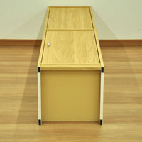 エイ・アイ・エス 2ドア収納ボックス ナチュラル 幅395×奥行380×高さ1667mm GTBX-002 NA 1台（直送品）