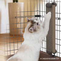 ペティオ necoco 猫 つめみがきホルダー（2個入）1個