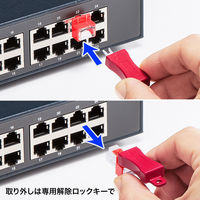 サンワサプライ RJ-45プラグロック ADT-RJ45LOCK 1セット（直送品）