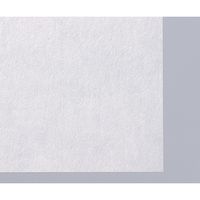 オオサキメディカル 滅菌マイティーシーツE 100cm×150cm 1枚入 50176 1枚 61-7358-33（直送品）