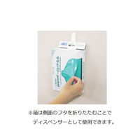 イワツキ（IWATSUKI） サライバリーポケット 520×580mm 60枚入 004-42160 1箱（60枚） 7-3100-01（直送品）