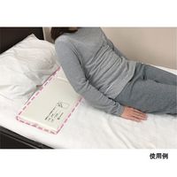 テクノスジャパン ベッドコール コードレスタイプ 標準2P BC-RN(STD2) 1個 8-7339-61（直送品）