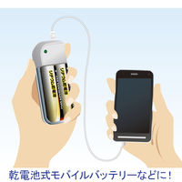 パナソニック リチウム乾電池単4/4B FR03HJ/4B 1パック（4本入）