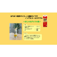 タマノイ　はちみつ黒酢ダイエット濃縮タイプ　500ml　1箱（12本入）