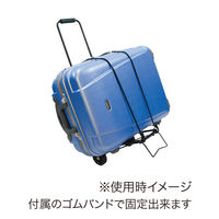 丸玉工業 ハンドキャリー#200XR 90379000 1台