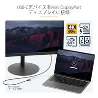Startech.com USB-C - Mini DP変換アダプタ 4K/60Hz USB CDP2MDP 1個