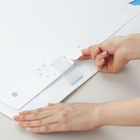 リヒトラブ ホワイトボードカレンダー A215 1枚