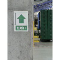 アスクル 屋外ラベル（屋外 粘着ラベル） A4 4面 ホワイト（白色） 30枚  オリジナル