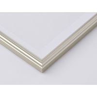 大仙 OA額 プリベル シルバー B4 T00930704 1枚