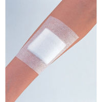 ハクゾウメディカル エレバンメッシュ No.100 1巻 1330032 1個