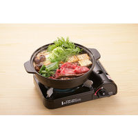 アイ・システムネットワーク アイコンロジュニア2 IA-JR-2M 1セット(4台)