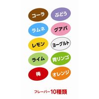 和勝会 和勝 俺の塩飴 10種のフレーバー 820g袋入り OS1F 1個（直送品）