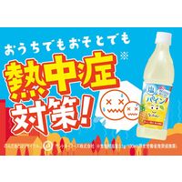 サントリーフーズ なっちゃん 塩パイン（冷凍兼用）425ml 1セット（48本）