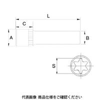 JTC スターディープソケット9.5xE10 JTC36010 1個（直送品）