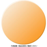 理研オプテック レーザー(レーザ)用 ARV RSー80 1個（直送品）