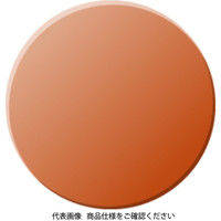 理研オプテック レーザー(レーザ)用 TWCL RSXー4 1個（直送品）