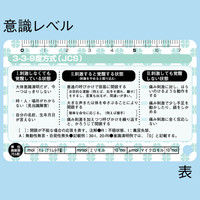 サンビー メディカルカード（意識レベル・滴下数早見表）2枚セット 　 1組（2枚）