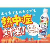 サントリー GREEN DA・KA・RA（グリーン ダカラ）塩 ライチ＆ヨーグルト（冷凍兼用）490ml 1セット（48本）