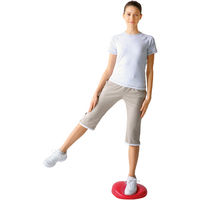 秦運動具工業 バランスディスク 193851 DK380 1個（直送品）