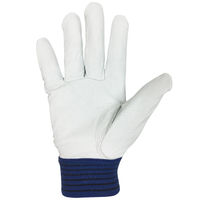 小野商事 豚背抜きマジック M 1双