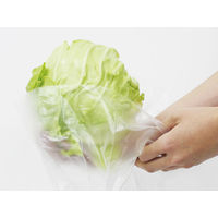 パックスタイル PSロールポリ袋 キャベツGZ袋 00440640 1包：6本（1×6）