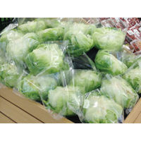 パックスタイル PS 透明スタンド袋320×180 00443700 1包：3000枚（100×30）（直送品）