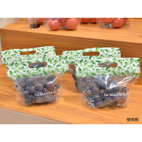 パックスタイル PS チャック付スタンド袋S リーフ CH2621 00527940 1包：500枚（50×10）（直送品）