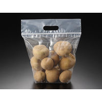 パックスタイル ワリフスタンドバッグ 23-26 00588493 1包：1500枚（50×30）（直送品）