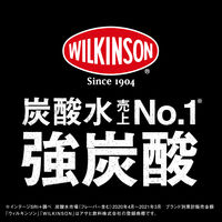 アサヒ飲料 ウィルキンソン タンサン 炭酸 ワンウェイびん 300ml 1セット（48本）