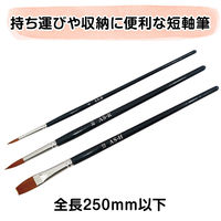 アーテック ナイロン3本組 短軸 プレンティ用 144452 1組