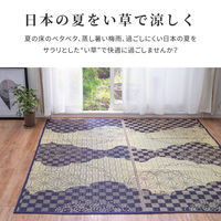 萩原 い草センターラグ（裏貼り） WATSUMUGI BK ブラック 約176×220cm 1枚（直送品）