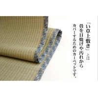 イケヒコ 純国産 い草 上敷き カーペット 糸引織 『柿田川』 江戸間6畳 約2610×3520mm 1枚（直送品）